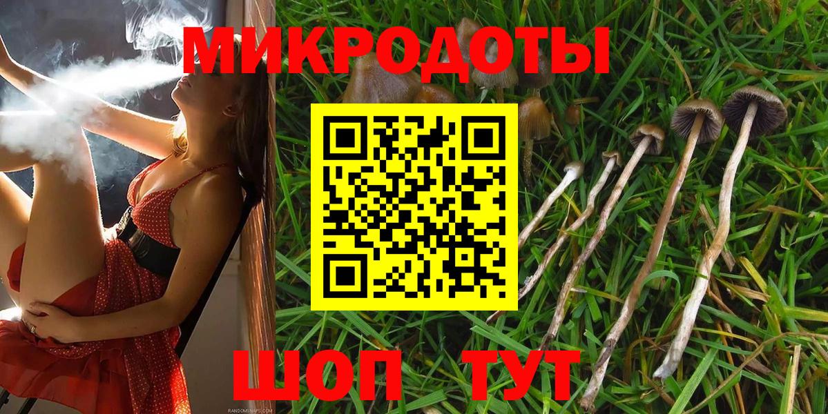 Междуреченск  Галлюциногенные грибы Magic Shrooms  Вход с VPN 